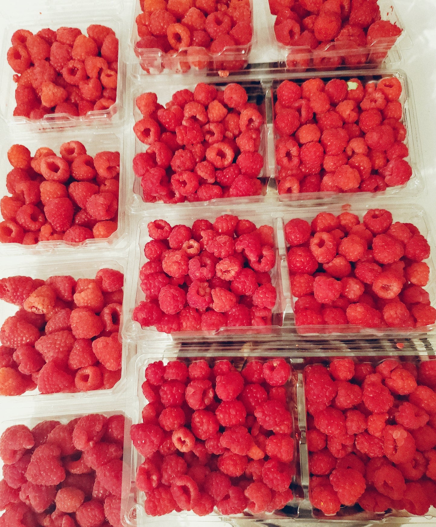 Ispahan jam (8 oz)